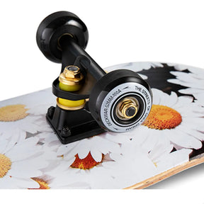 Skateboard 79cm/31" para Iniciantes, Adultos e Crianças - Completo em Maple