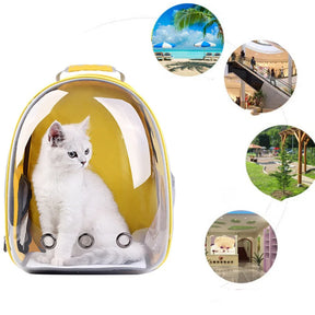 Mochilas para animais de estimação