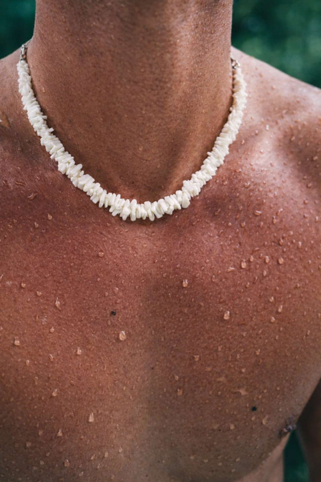 Colar Ancestry Origins: Raw Coconut & Apex Tooth